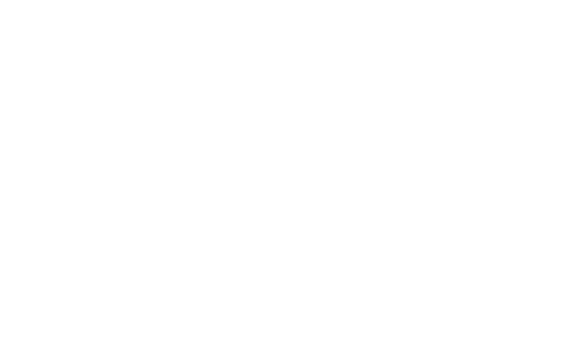 logo main